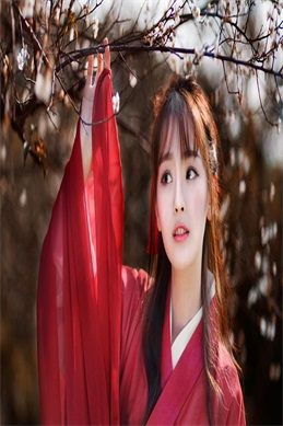 朋友的老婆韩国完整版-查询与处理建议