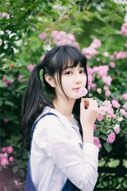 游戏王zexal-召唤超量怪兽前必读