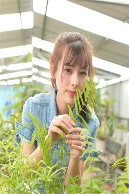 欧美np-欧美NP话题下常见误区与合理选片思路