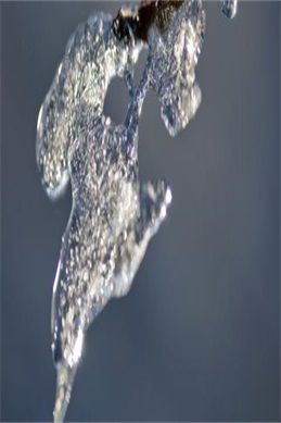 飞哥英雄-信息核验与说明