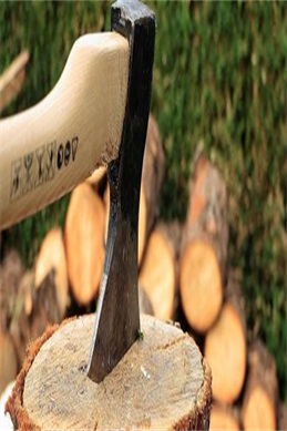 免费电影在线观看投屏-手机投屏看电影