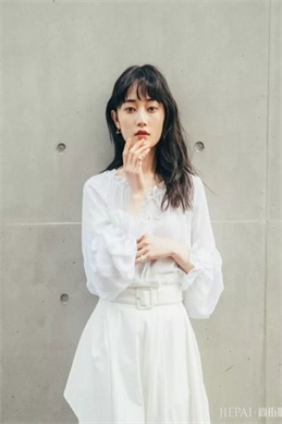 厨师当官-厨师跨界从政的现实案例与关键门槛
