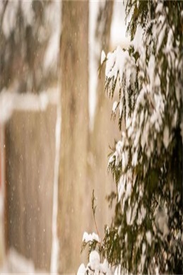 同学叫我去他家然后把门锁了-去同学家被锁门怎么办