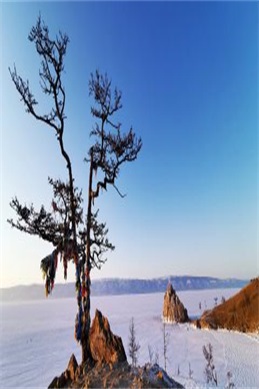 A级影片免费全部播放高清-正规影视资源画质与观看选择参考