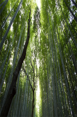 国家宝藏3资料-国家宝藏3》这些文物故事你了解吗