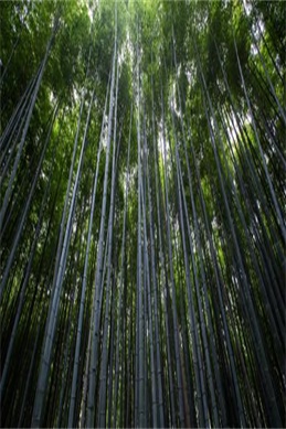 被两洪男癸绑着玩辑录-非成年向束缚玩法合集怎么找