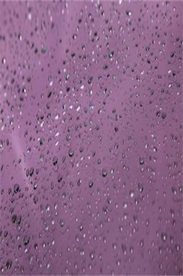 公主恋人ova无修夏洛特篇-公主恋人OVA夏洛特篇到底是什么版本