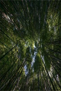 2013年7月里番-那些年追过的7月番