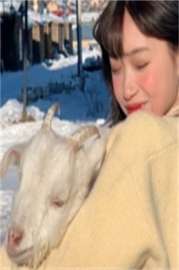 老爸去哪儿 主题曲-老爸去哪儿主题曲歌词在哪找