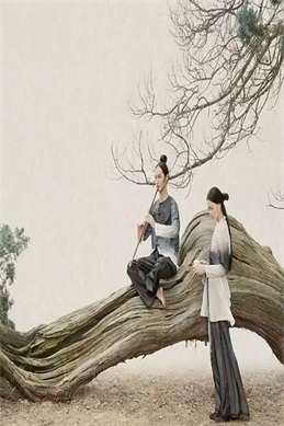 新还珠格格之风儿阵阵吹剧情介绍-小燕子婚后生活与永琪感情危机