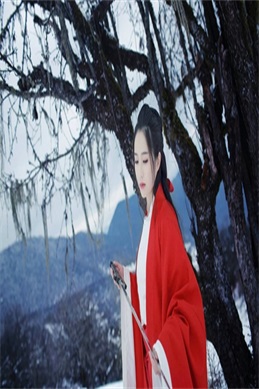 翁双杰-经典角色与滑稽戏生涯