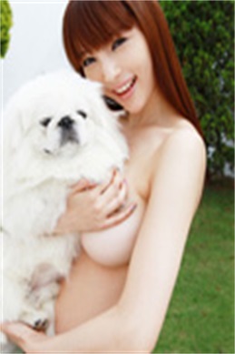 温柔婚-是一部什么小说