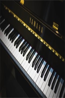 TOBU8韩国日本-来自韩国和日本的影视作品