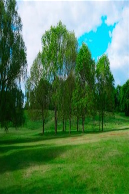 99国产在线精品活力光影鉴-光影鉴使用前先看这几步确认